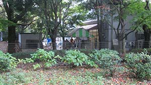 �N���b�N���Ċg��